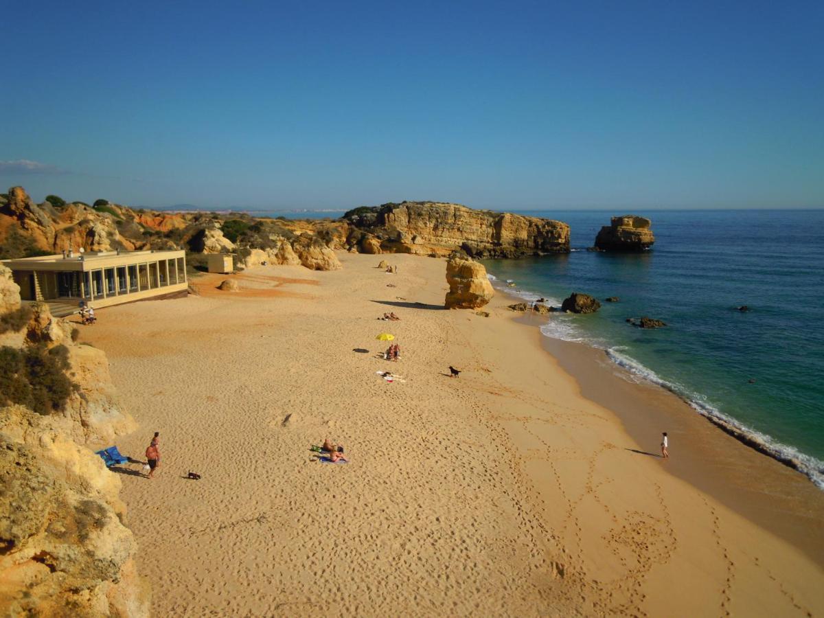 Tropicana One Bedroom Flat T1 In Gale Close To 8 Beaches Apartment