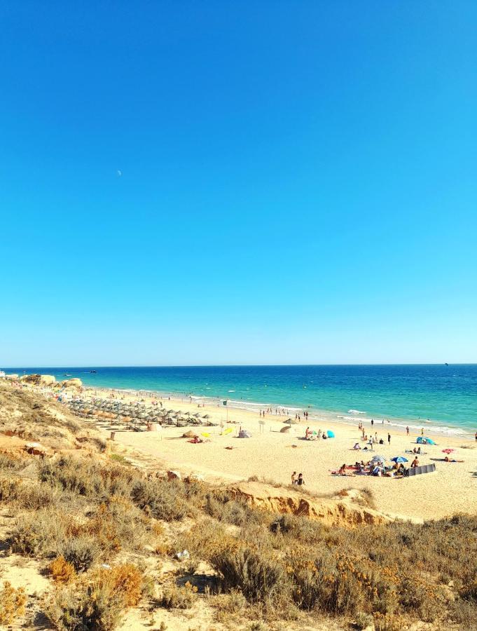 Apartment Tropicana One Bedroom Flat T1 In Gale Close To 8 Beaches *