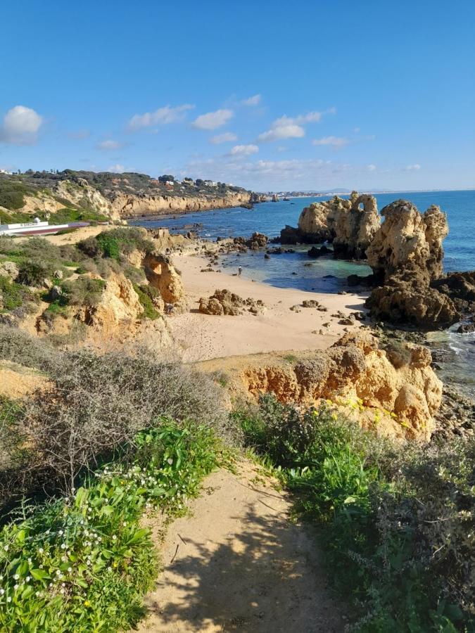 Tropicana One Bedroom Flat T1 In Gale Close To 8 Beaches *