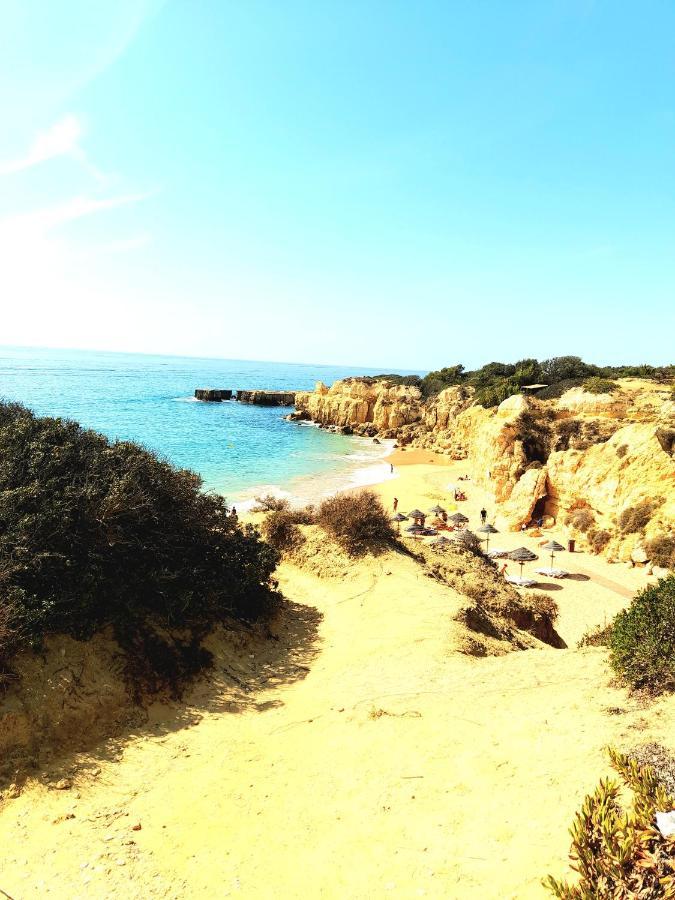 Apartment Tropicana One Bedroom Flat T1 In Gale Close To 8 Beaches