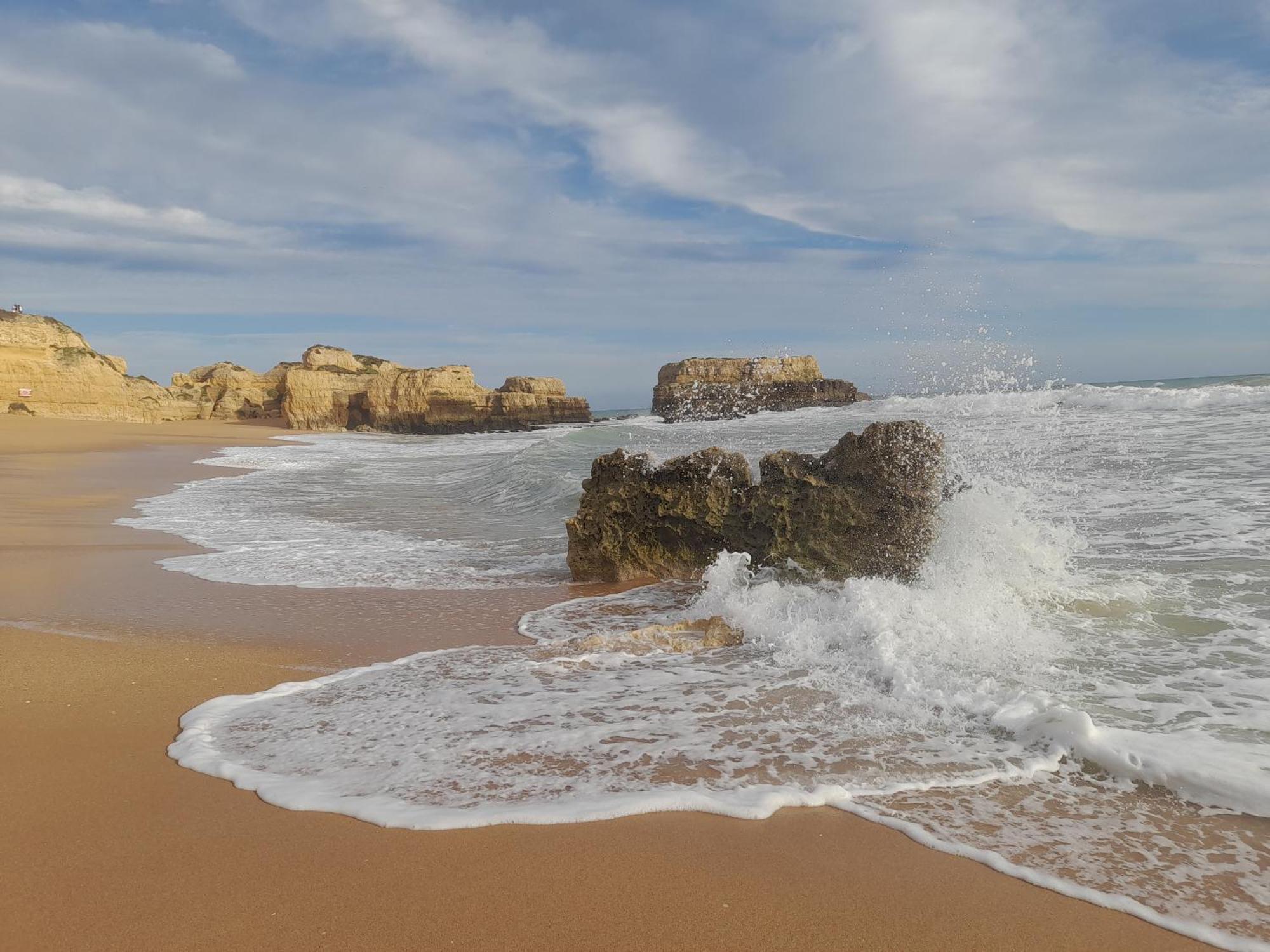 Tropicana One Bedroom Flat T1 In Gale Close To 8 Beaches Apartment Albufeira